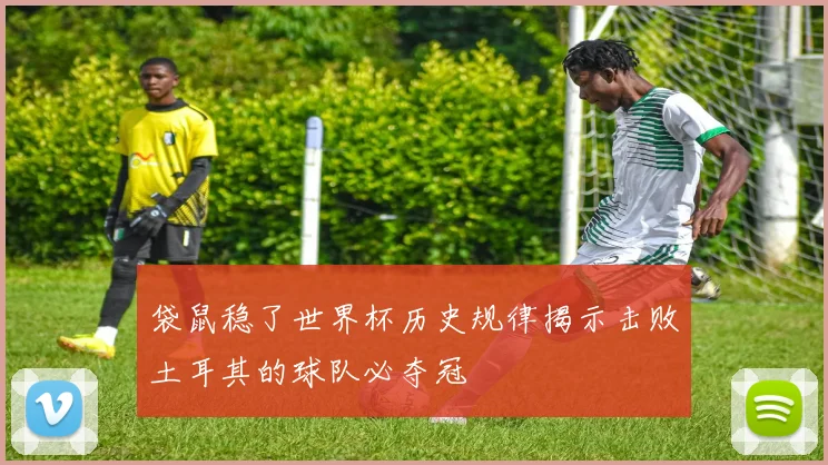 袋鼠稳了世界杯历史规律揭示击败土耳其的球队必夺冠