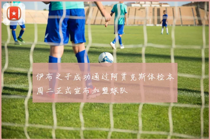 伊布之子成功通过阿贾克斯体检本周二正式宣布加盟球队