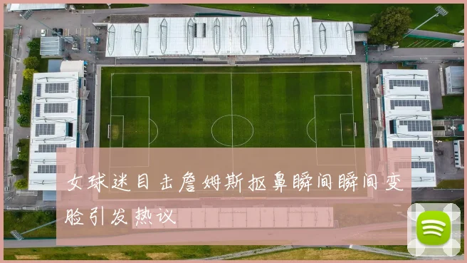 女球迷目击詹姆斯抠鼻瞬间瞬间变脸引发热议